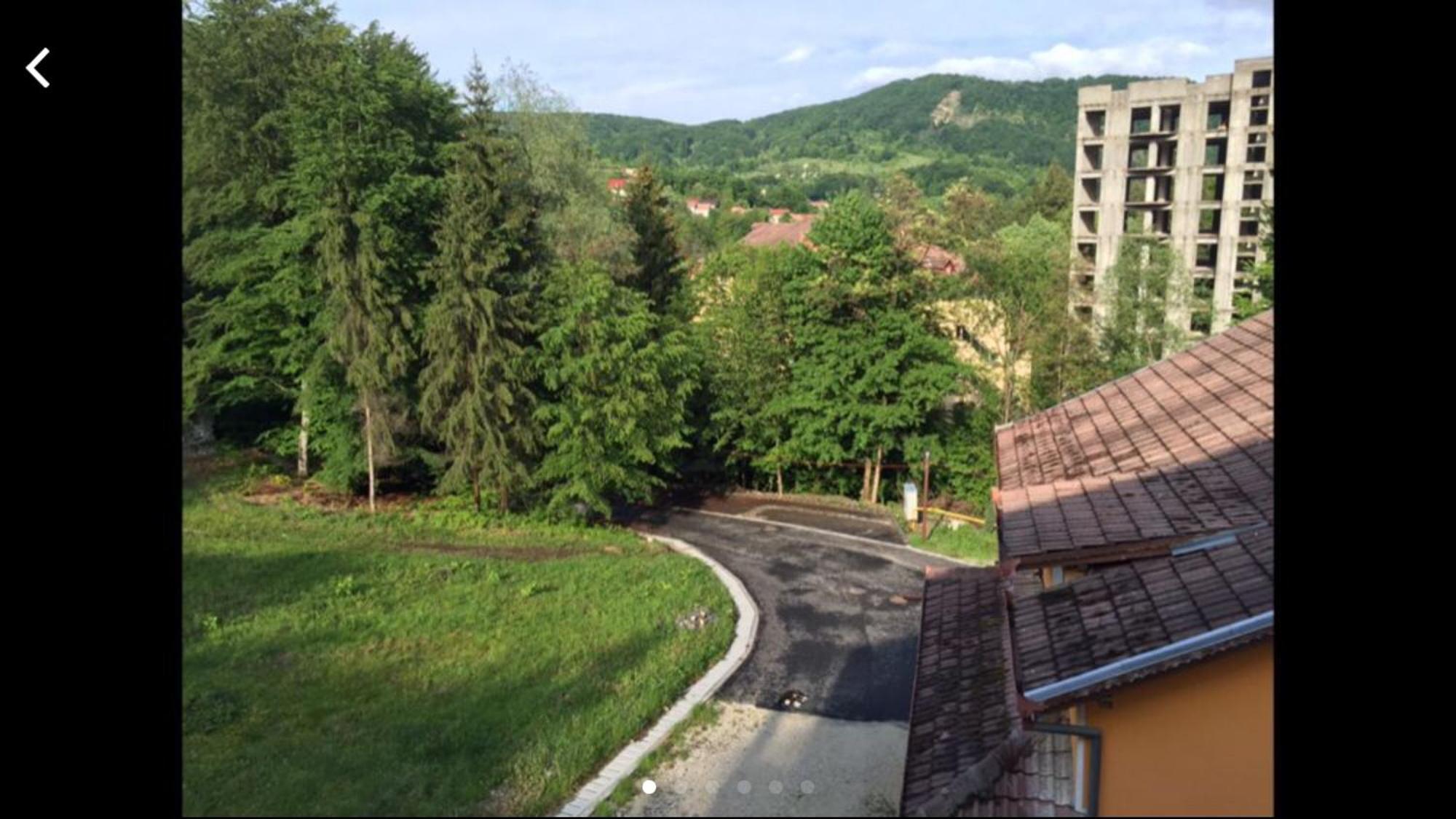 Hotel Trei Brazi Беїле-Оленешті Номер фото